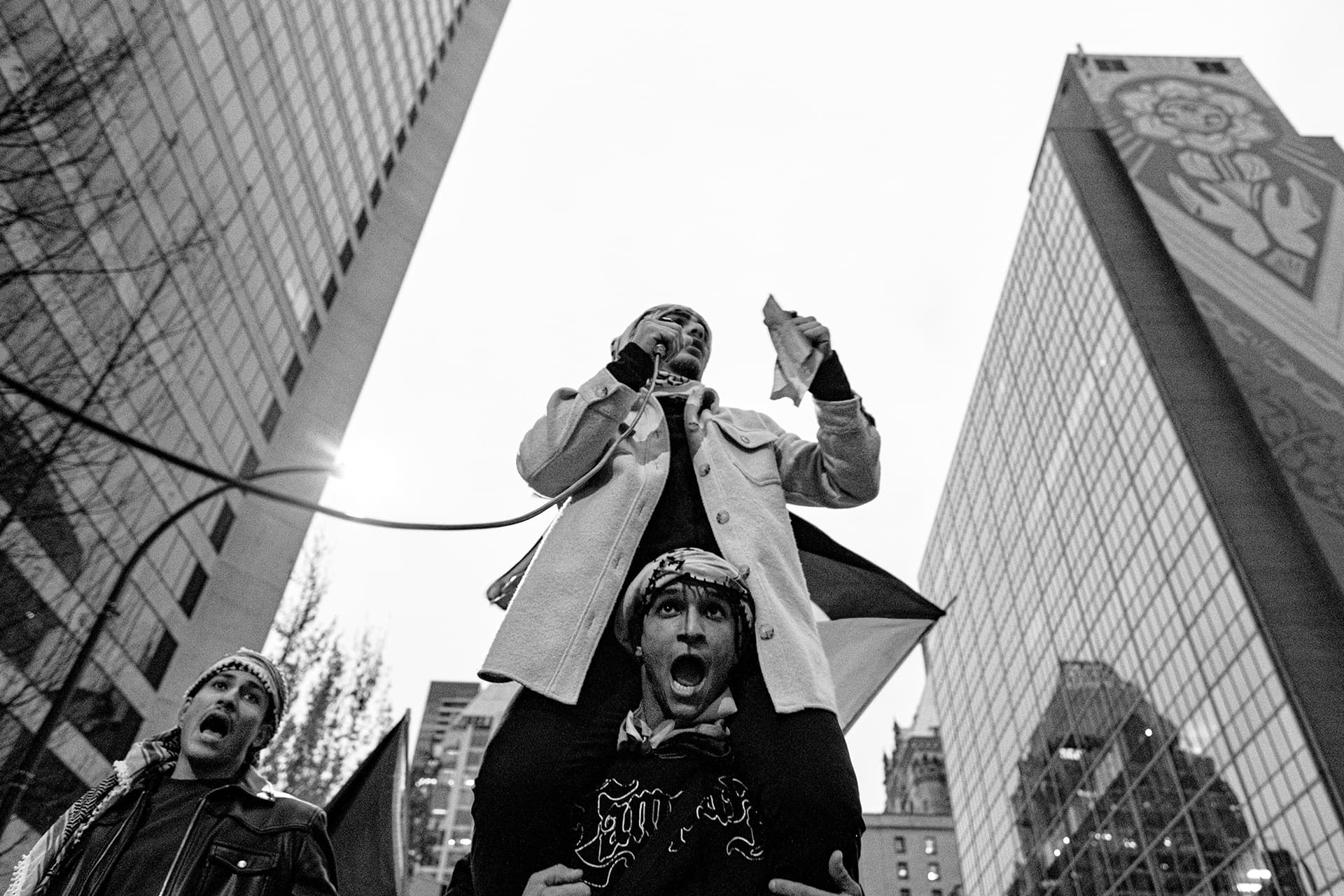 Birds that Cried Freedom